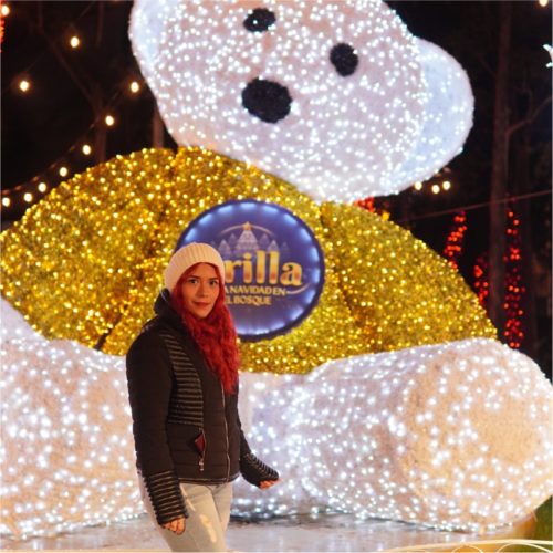 Brilla Naucalli, Una Navidad en el Bosque